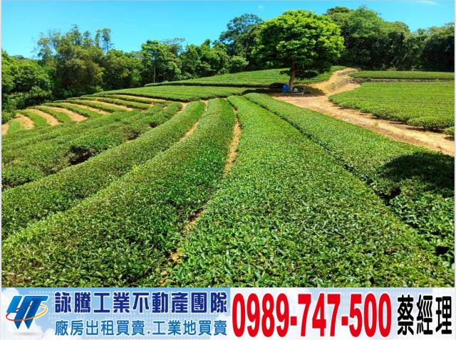 桃園龍潭農地-0